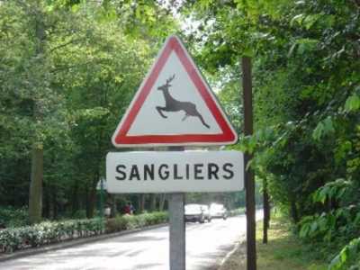 panneaux routiers rigolos drôles amusants bizarres