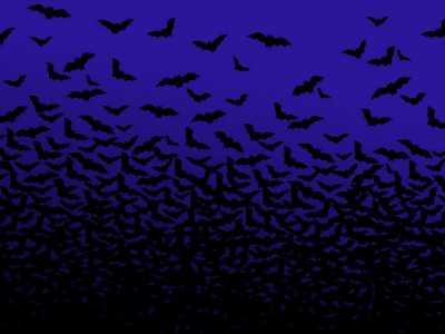 Ciel chauve souris