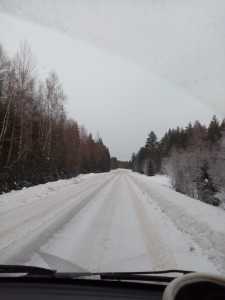 IMG 20230129 101224 (1)