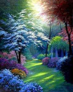 df73b29d435559aec477c2730a0ef20e