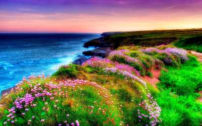 Fond ecran gratuit printemps paysage 16